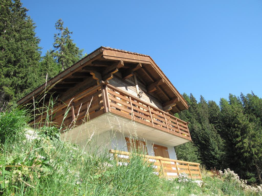 Chalet Amos Villa Grimentz Esterno foto